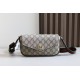 Gucci Ophidia Mini Bag Beige And Ebony Supreme