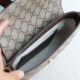 Gucci Ophidia Mini Bag Beige And Ebony Supreme