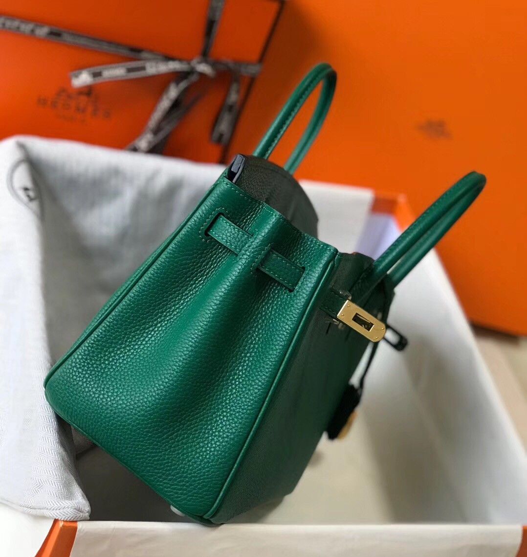 Hermes Birkin 25 Bag In Vert Vertigo Clemence Leather with GHW