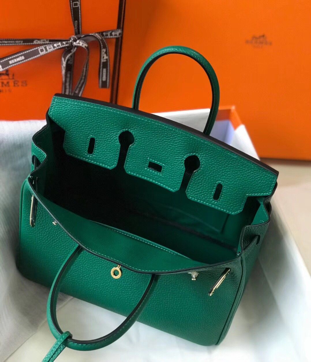 Hermes Birkin 25 Bag In Vert Vertigo Clemence Leather with GHW