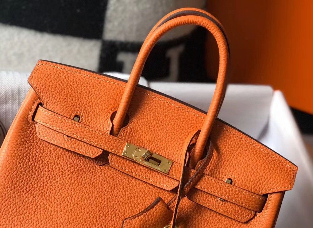 Hermes Birkin 25 Bag In Orange Clemence Leather with GHW