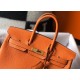 Hermes Birkin 25 Bag In Orange Clemence Leather with GHW