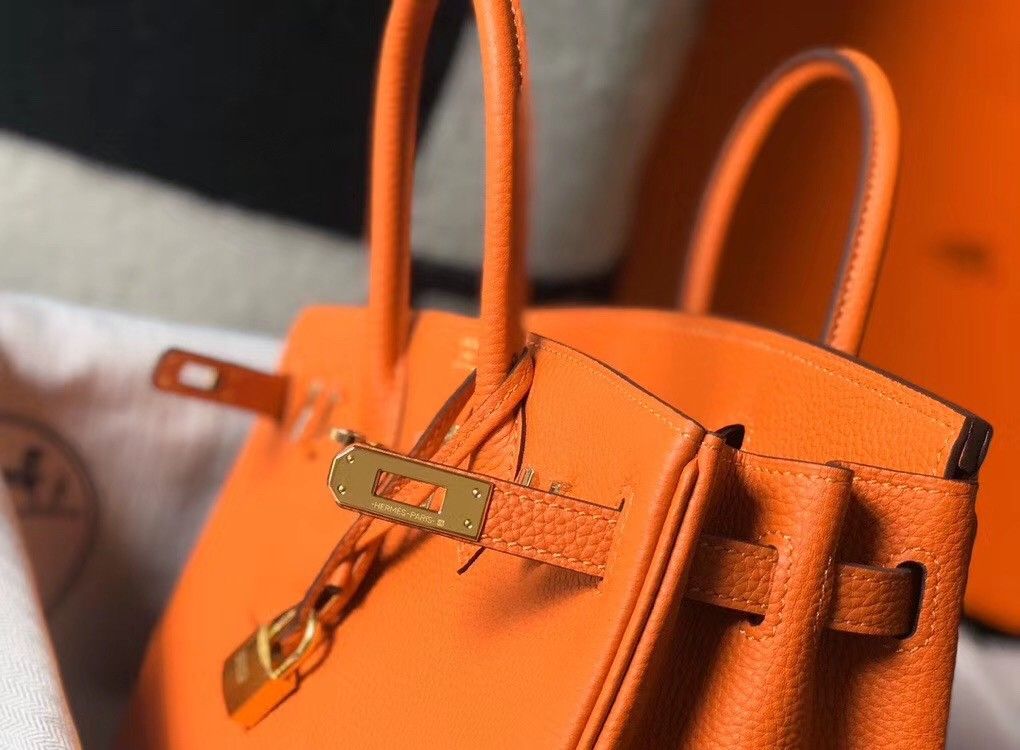 Hermes Birkin 25 Bag In Orange Clemence Leather with GHW