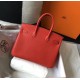 Hermes Birkin 25 Bag In Orange Red Clemence Leather with GHW