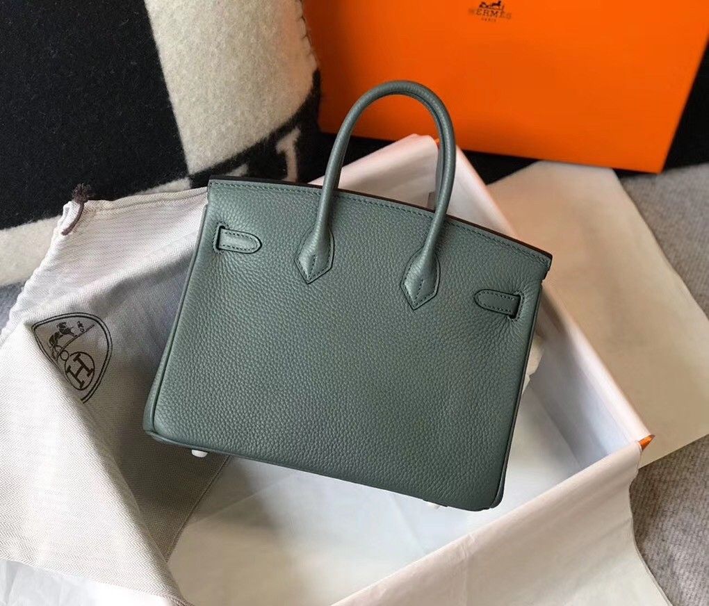 Hermes Birkin 25 Bag In Vert Amande Clemence Leather with GHW