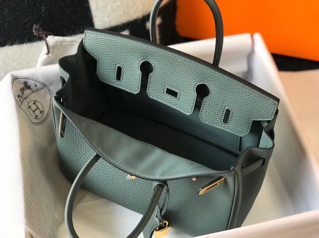 Hermes Birkin 25 Bag In Vert Amande Clemence Leather with GHW