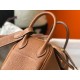 Hermes Lindy Mini Bag In Gold Clemence Leather GHW