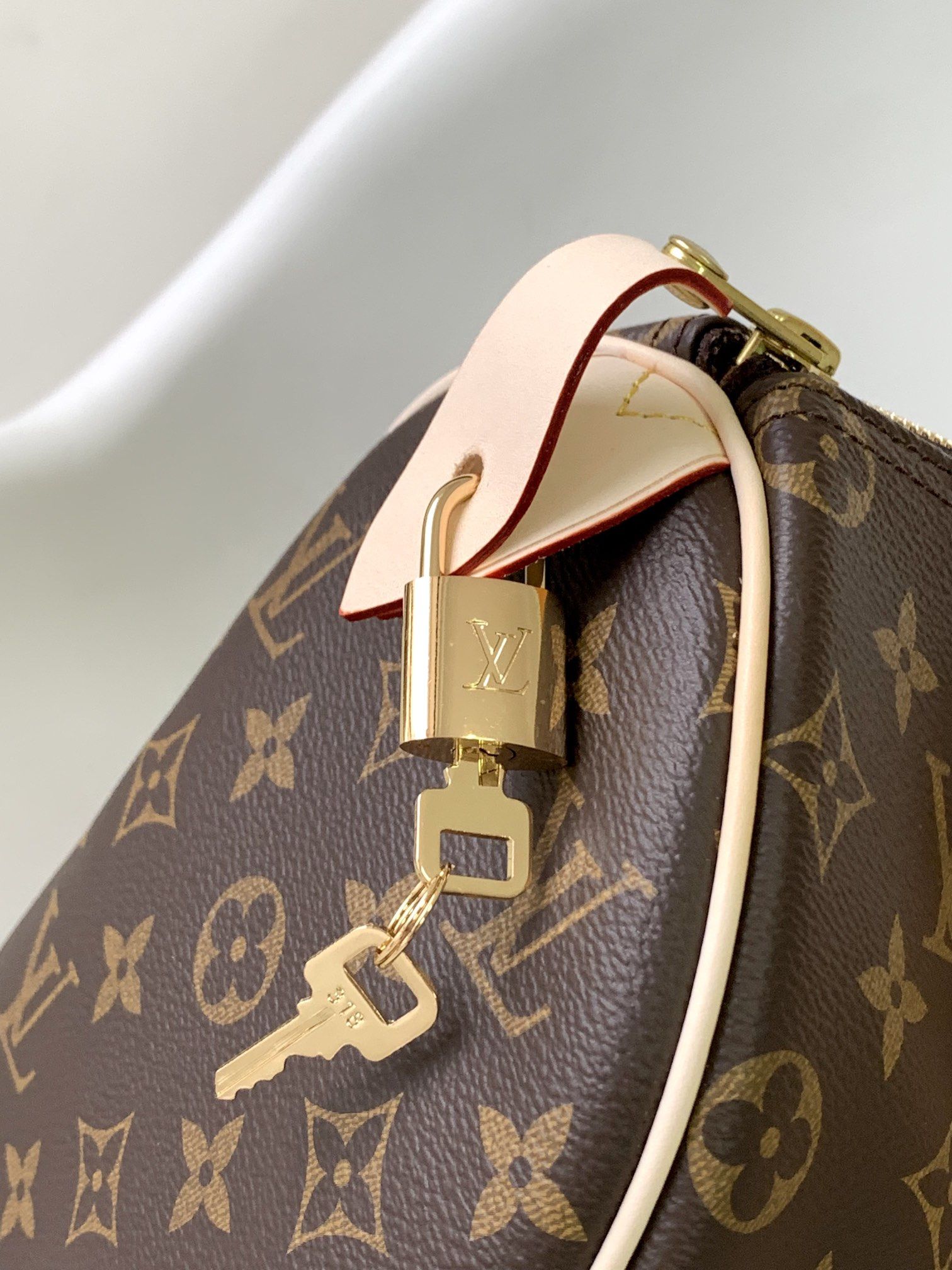 Louis Vuitton Speedy 30 Monogram Canvas Women's Handbags M41108