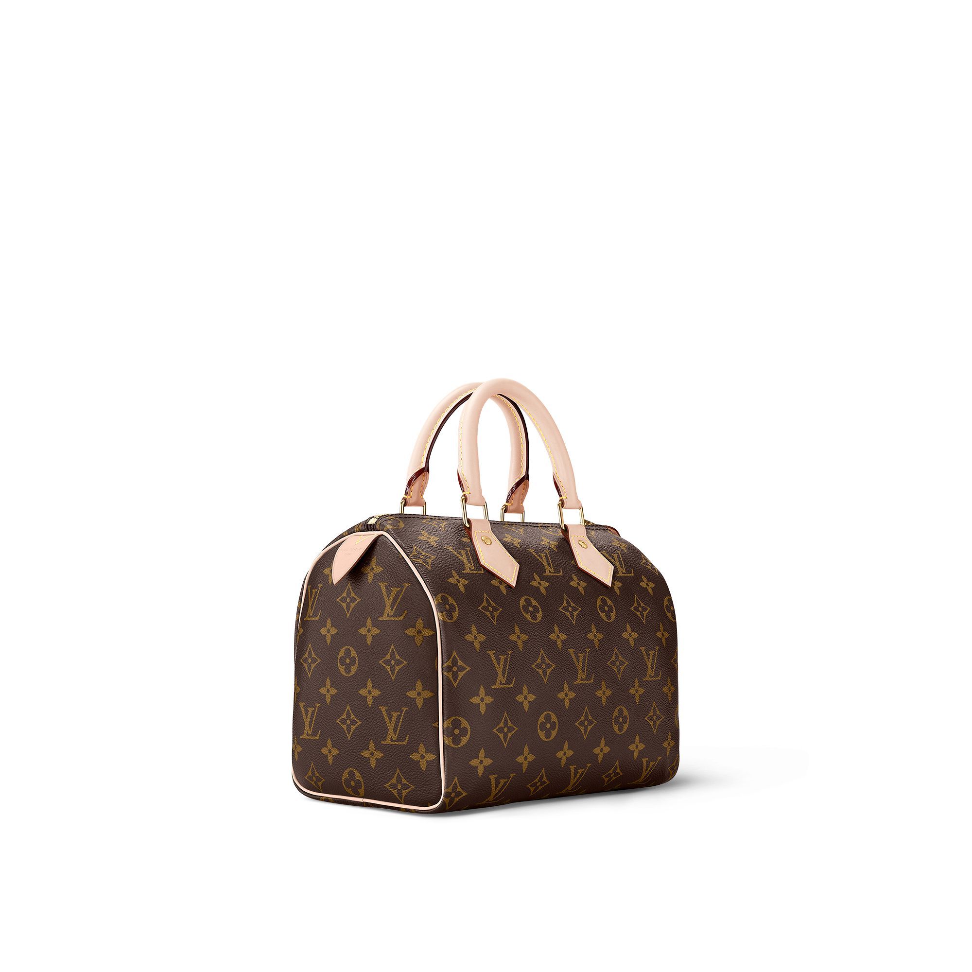 Louis Vuitton Speedy 25 Monogram Canvas Women's Handbags M41109