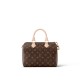 Louis Vuitton Speedy 25 Monogram Canvas Women's Handbags M41109