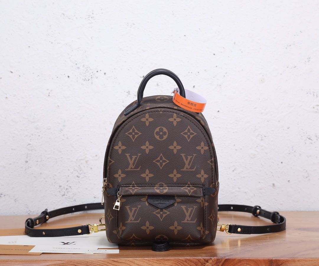 Louis Vuitton Palm Springs Mini Monogram Canvas Women's Handbags M44873