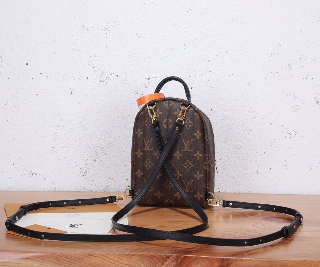 Louis Vuitton Palm Springs Mini Monogram Canvas Women's Handbags M44873