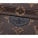 Louis Vuitton Palm Springs Mini Monogram Canvas Women's Handbags M44873