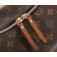 Louis Vuitton Loop Hobo Monogram Canvas Women's Handbags M46311