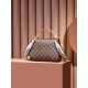 Louis Vuitton Cluny BB Monogram Canvas Women's Handbags M46372