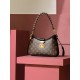 Louis Vuitton LV Twinny  Monogram Canvas Women's Handbags M46659