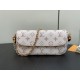 Louis Vuitton Wallet on Chain Ivy Monogram Canvas Handbag